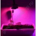 Полноспектровый 10Вт фитосветодиод на радиаторе LED grow light "Мерак"